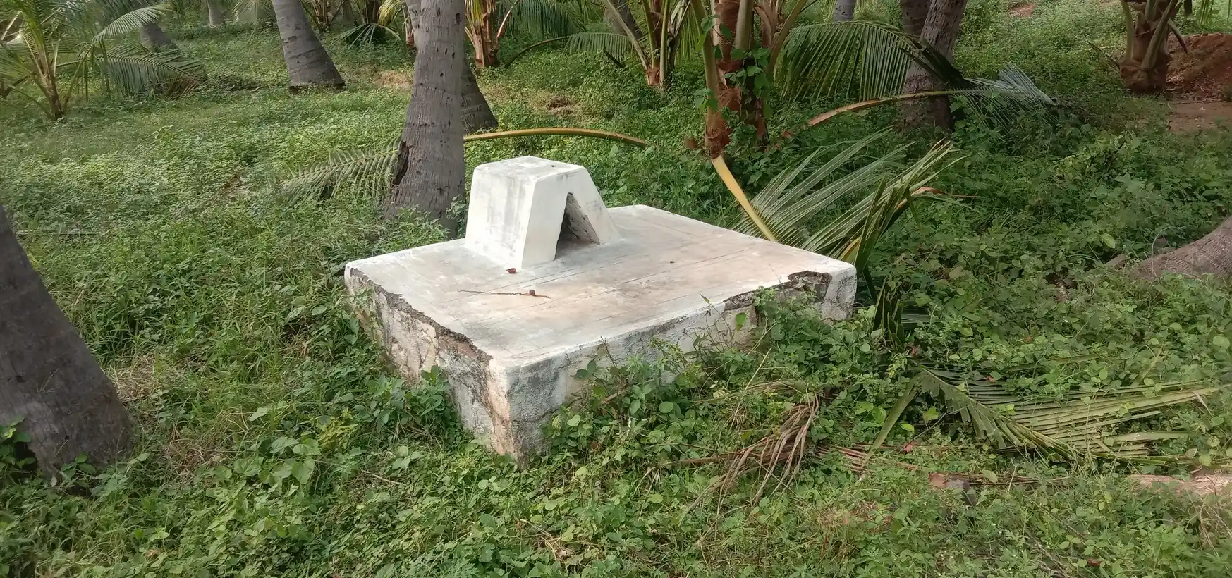 Arulmigu Kannimar Temple, G. Kallupatti - 625203 அருள்மிகு கன்னிமார் திருக்கோயில், G. Kallupatti - 625203, Theni - Ancient Temple Architecture and History Image 4