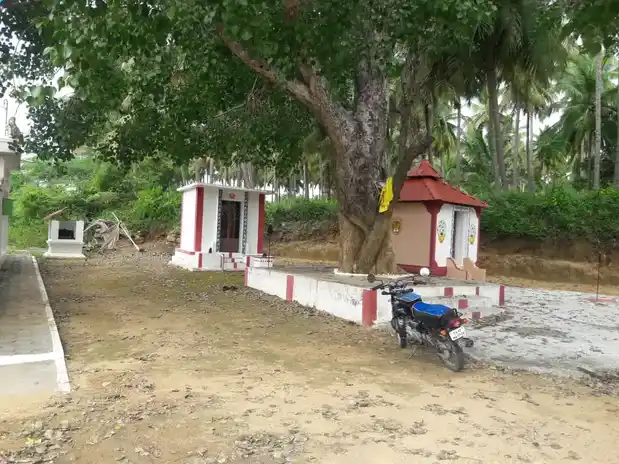 Arulmigu Kannimar Temple, Kambalapatti - 642007 கன்னிமார் திருக்கோயில், கம்பளப்பட்டி - 642007, Coimbatore - Ancient Temple Architecture and History Image 4