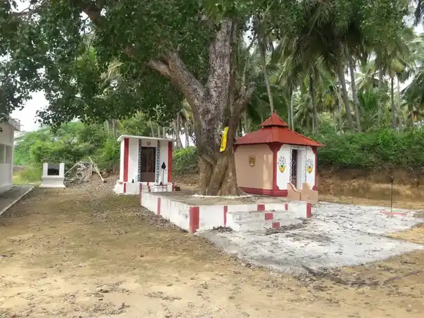 Arulmigu Kannimar Temple, Kambalapatti - 642007 கன்னிமார் திருக்கோயில், கம்பளப்பட்டி - 642007, Coimbatore - Ancient Temple Architecture and History Image 7