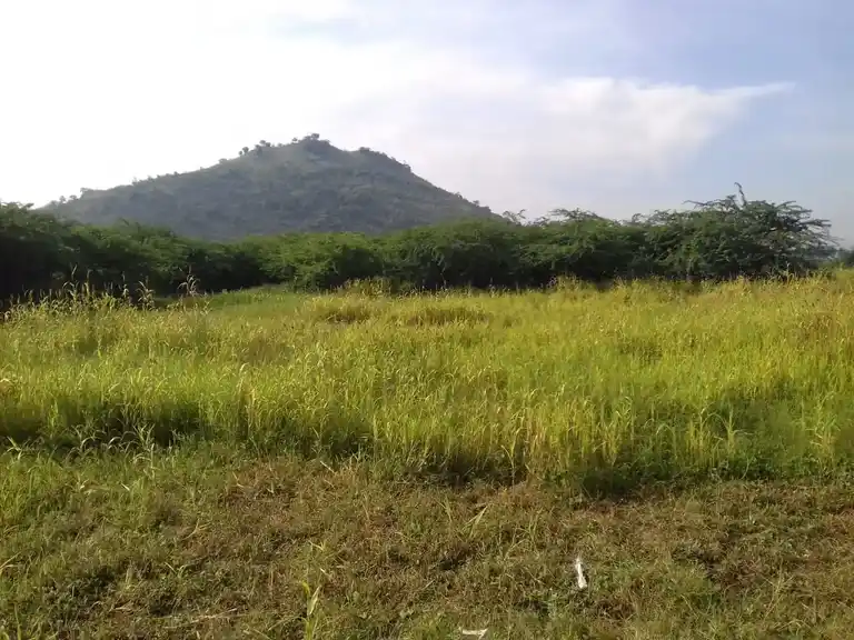 Arulmigu Kannimar Temple, Kulasekarankottai - 625218 அருள்மிகு கன்னிமார் திருக்கோயில், Kulasekarankottai - 625218, Madurai - Ancient Temple Architecture and History Image 4