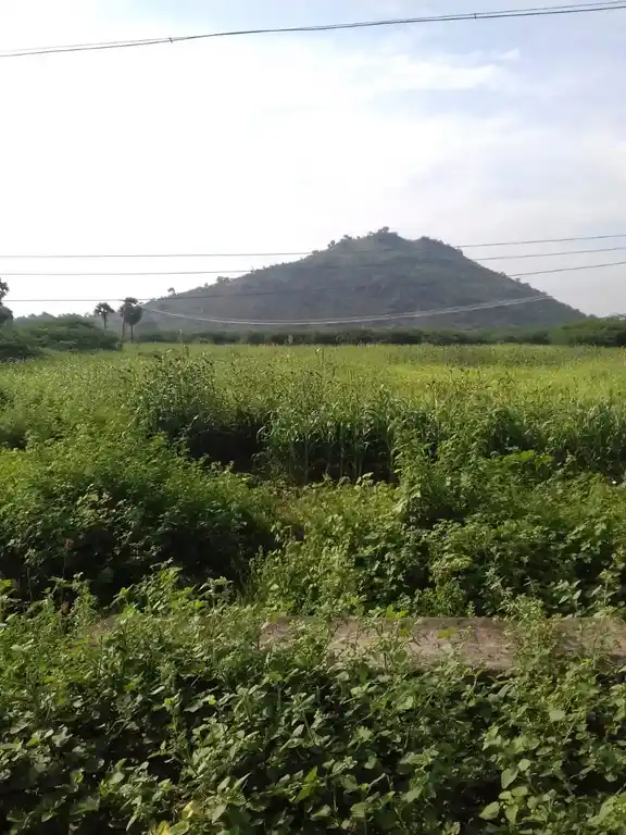 Arulmigu Kannimar Temple, Kulasekarankottai - 625218 அருள்மிகு கன்னிமார் திருக்கோயில், Kulasekarankottai - 625218, Madurai - Ancient Temple Architecture and History Image 5