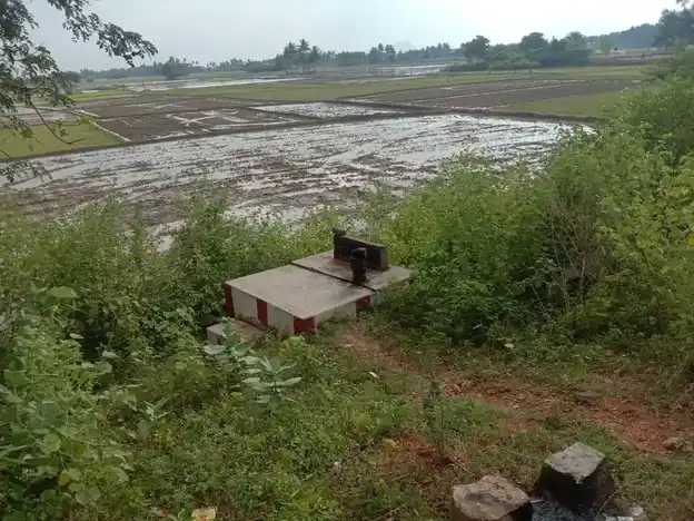 Arulmigu Kannimar Temple, Mudhalaikulam - 625514 கன்னிமார் திருக்கோயில், Mudhalaikulam - 625514, Madurai - Ancient Temple Architecture and History Image 3