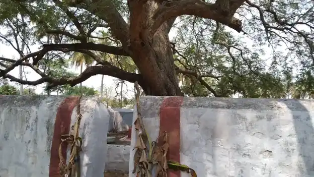 Arulmigu Kannimar Temple, Nachipalayam - 641606