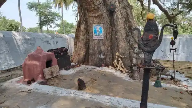 Arulmigu Kannimar Temple, Nachipalayam - 641606 அருள்மிகு கன்னிமார் திருக்கோயில், Nachipalayam - 641606, Tiruppur - Ancient Temple Architecture and History Image 2