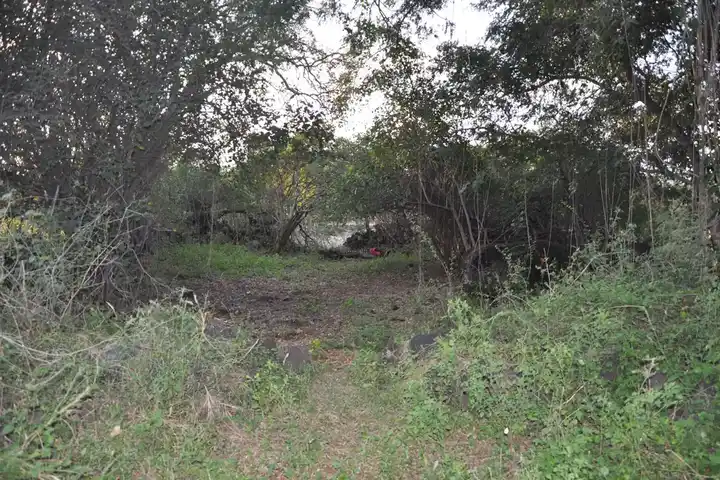 Arulmigu Kannimar Temple, Nachipalayam, Kodanthoor - 639206 அருள்மிகு கன்னிமார் திருக்கோயில், Nachipalayam, Kodanthoor - 639206, Karur - Ancient Temple Architecture and History Image 3