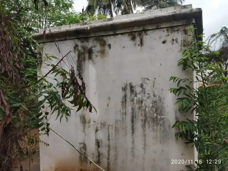 Arulmigu Kannimar Temple, Pazhuvanji - 621305 Arulmigu Kannimar Temple, Pazhuvanji - 621305, Thiruchirappalli - Ancient Temple Architecture and History Image 5