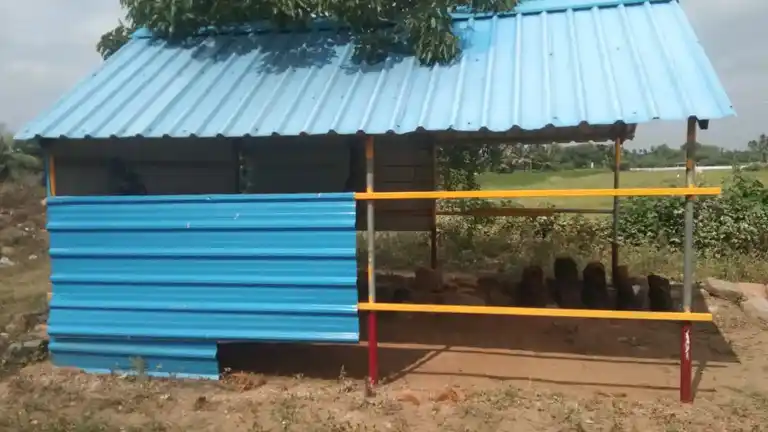 Arulmigu Kannimar Temple, Saanananthal - 606903 Arulmigu Kannimar Temple, Saanananthal, Saanananthal - 606903, Tiruvannamalai - Ancient Temple Architecture and History Image 4