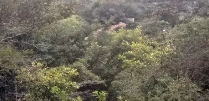 Arulmigu Kannimar Temple, Sakkarapanayakanur - 625207