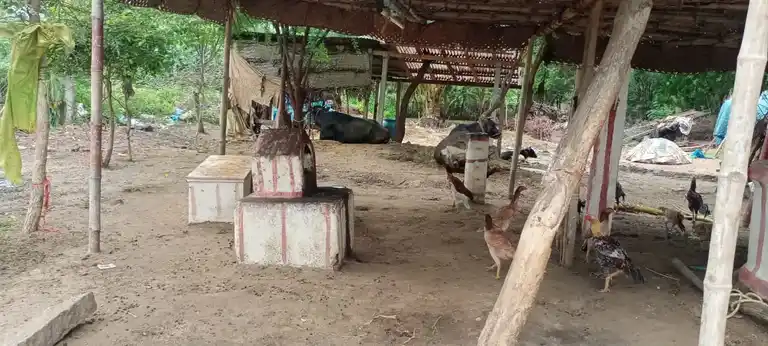 Arulmigu Kannimar Temple, Saptur - 625705 அருள்மிகு கன்னிமார் திருக்கோயில், Saptur - 625705, Madurai - Ancient Temple Architecture and History Image 4