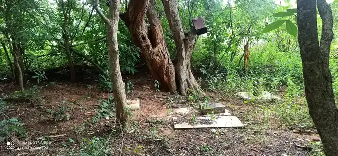 Arulmigu Kannimar Temple, Seegampatti - 621308