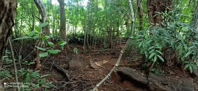 Arulmigu Kannimar Temple, Seegampatti - 621308 அருள்மிகு கன்னிமார் திருக்கோயில், Seegampatti - 621308, Thiruchirappalli - Ancient Temple Architecture and History Image 3