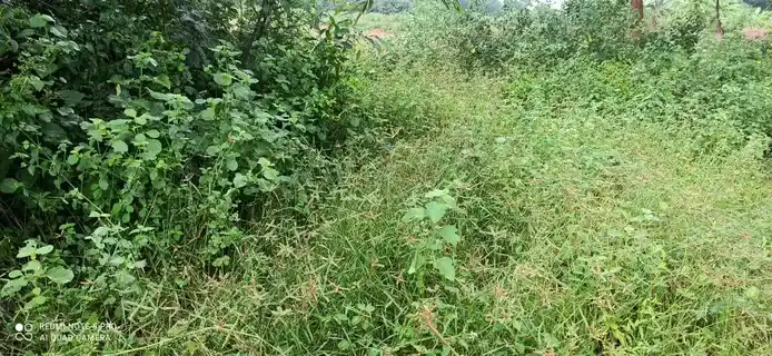 Arulmigu Kannimar Temple, Thoppanayakanpatti - 621307 Arulmigu kannimar Temple, Thoppanayakanpatti - 621307, Thiruchirappalli - Ancient Temple Architecture and History Image 4