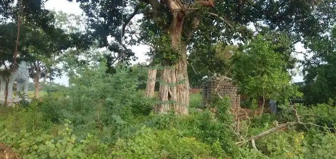 Arulmigu Kannimar Temple, Valvarmangalam - 639001