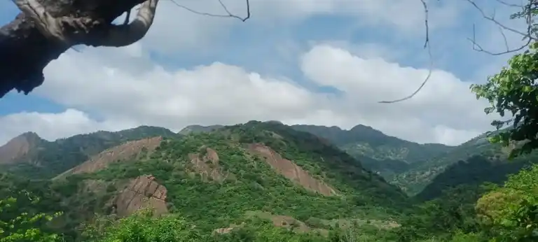 Arulmigu Kannimar Temple, Vandari - 625705 அருள்மிகு கன்னிமார் திருக்கோயில், Vandari - 625705, Madurai - Ancient Temple Architecture and History Image 3