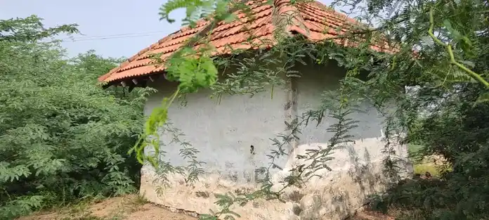 Arulmigu Kannimar Temple, Veeriyampatti - 621301 அருள்மிகு கன்னிமார் திருக்கோயில், Veeriyampatti - 621301, Karur - Ancient Temple Architecture and History Image 3