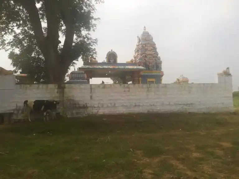 Arulmigu Kannimar Vagaiyara Temple, Sengal - 639102