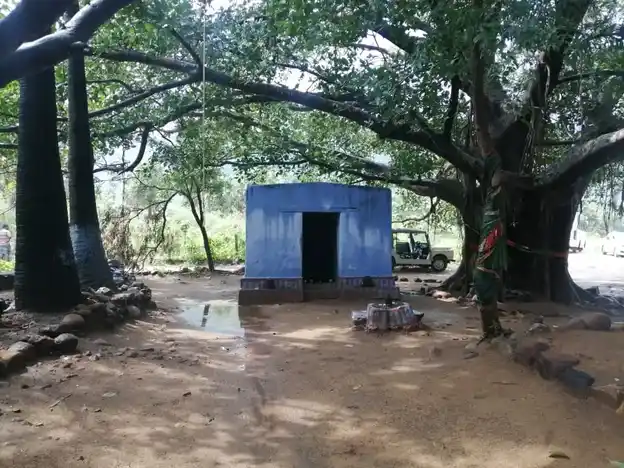 Arulmigu Kannimaramman Kovil, Panakudi - 627109 Arulmigu Kannimaramman Kovil, Panakudi - 627109, Tirunelveli - Ancient Temple Architecture and History Image 2