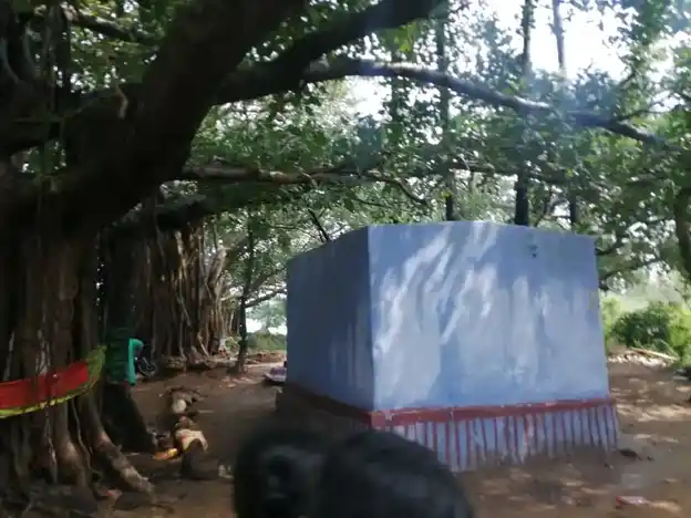 Arulmigu Kannimaramman Kovil, Panakudi - 627109 Arulmigu Kannimaramman Kovil, Panakudi - 627109, Tirunelveli - Ancient Temple Architecture and History Image 3