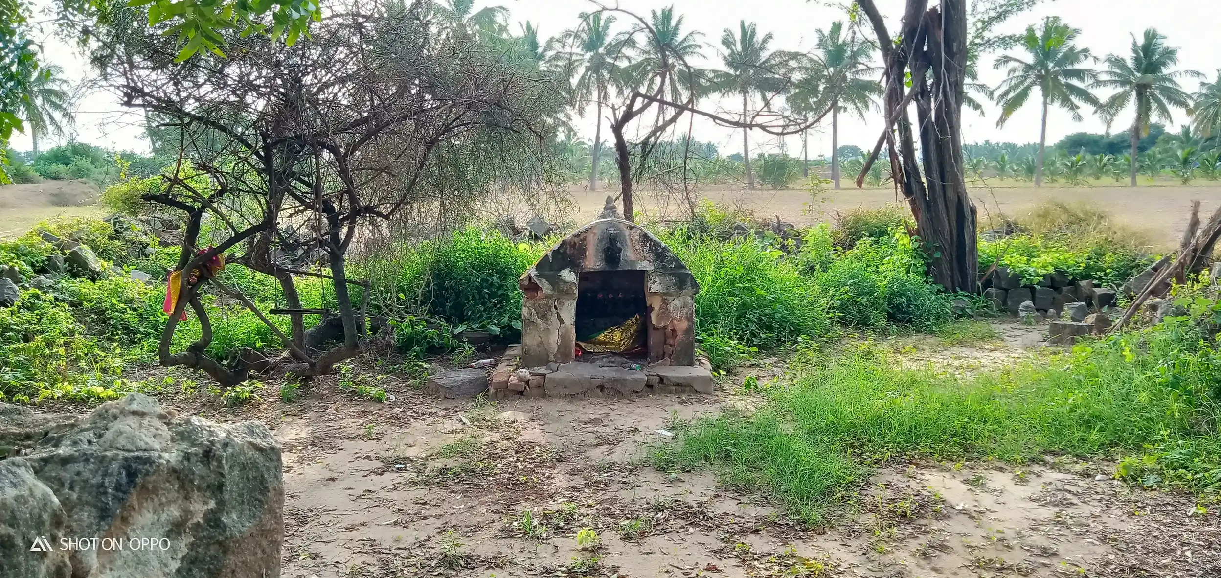 Arulmigu Kannimaramman Temple, Chinnakampalayam - 638656 Arulmigu Kannimaramman Temple, சின்னக்கம்பாளையம் - 638656, Tiruppur - Ancient Temple Architecture and History Image 3
