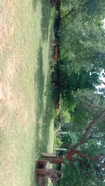 Arulmigu Kannimaramman Temple, Marungapuri - 621305 Arulmigu kannimaramman temple, Marungapuri - 621305, Thiruchirappalli - Ancient Temple Architecture and History Image 2