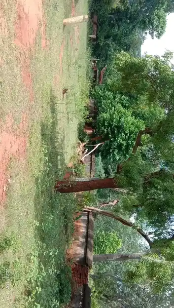 Arulmigu Kannimaramman Temple, Marungapuri - 621305 Arulmigu kannimaramman temple, Marungapuri - 621305, Thiruchirappalli - Ancient Temple Architecture and History Image 3