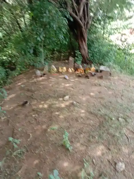 Arulmigu Kannimarswamy Temple, Lakshmanasamuthiram - 636102 அருள்மிகு கன்னிமார்சாமி திருக்கோயில், Lakshmanasamuthiram - 636102, Salem - Ancient Temple Architecture and History Image 2