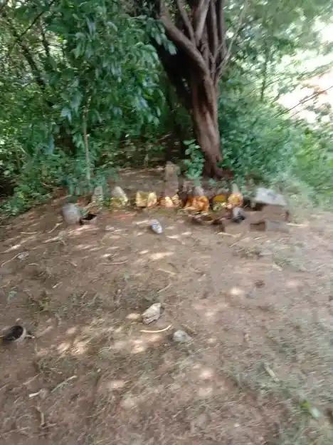 Arulmigu Kannimarswamy Temple, Lakshmanasamuthiram - 636102 அருள்மிகு கன்னிமார்சாமி திருக்கோயில், Lakshmanasamuthiram - 636102, Salem - Ancient Temple Architecture and History Image 3