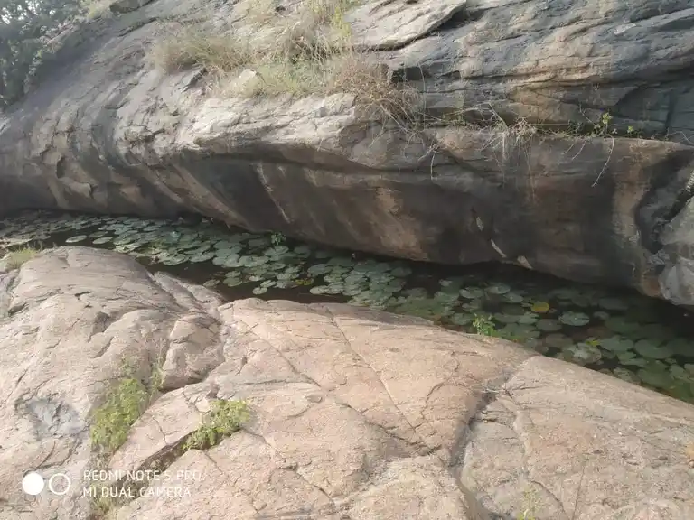 Arulmigu Kanniyamman Temple, Naduppatti - 636351