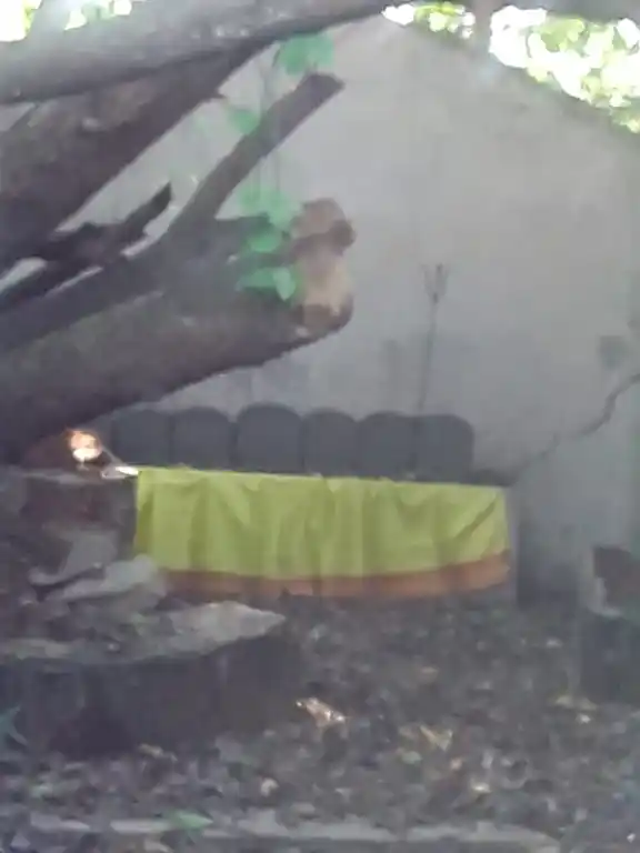 Arulmigu Kanniyamman Temple, Ullavoor - 631605 அருள்மிகு கண்ணியம்மன் திருக்கோயில், Ullavoor - 631605, Kancheepuram - Ancient Temple Architecture and History Image 4