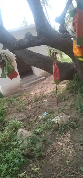 Arulmigu Kannudaya Nayakiamman Temple, Muthalapuram - 624202 அருள்மிகு கண்ணுடைய நாயகியம்மமன் திருக்கோயில், Muthalapuram - 624202, Dindigul - Ancient Temple Architecture and History Image 2