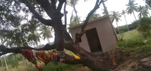 Arulmigu Kannudaya Nayakiamman Temple, Muthalapuram - 624202 அருள்மிகு கண்ணுடைய நாயகியம்மமன் திருக்கோயில், Muthalapuram - 624202, Dindigul - Ancient Temple Architecture and History Image 3