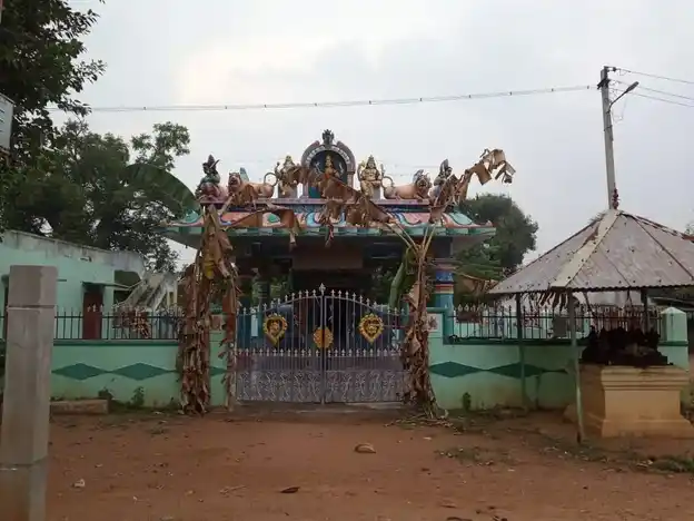 Arulmigu Kanthirantha Nayagiyamman Temple, Rajappatti - 622004 அருள்மிகு கண்திறந்தநாயகி அம்மன் திருக்கோயில், இராஜாப்பட்டி - 622004, Pudukkottai - Ancient Temple Architecture and History Image 8