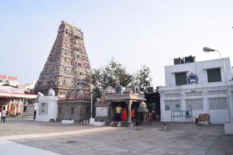 Arulmigu Kapaleeswarar Temple, Mylapore, Chennai - 600004 அருள்மிகு கபாலீசுவரர் திருக்கோயில், மயிலாப்பூர், சென்னை - 600004, Chennai - Ancient Temple Architecture and History Image 7