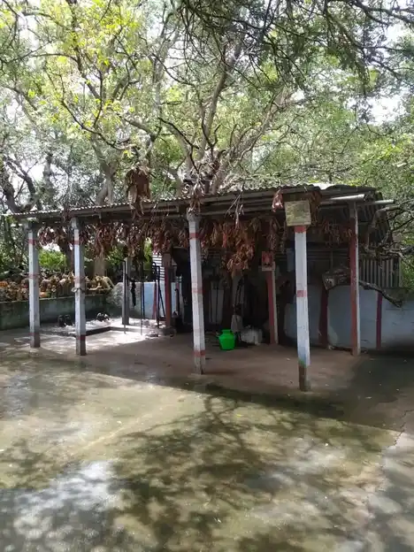 Arulmigu Kappiniamman Temple, Kondegoundanpalayam - 642120 அருள்மிகு காப்பிணியம்மன் திருக்கோயில், Kondegoundanpalayam - 642120, Coimbatore - Ancient Temple Architecture and History Image 3