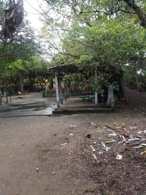 Arulmigu Kappiniamman Temple, Kondegoundanpalayam - 642120 அருள்மிகு காப்பிணியம்மன் திருக்கோயில், Kondegoundanpalayam - 642120, Coimbatore - Ancient Temple Architecture and History Image 4