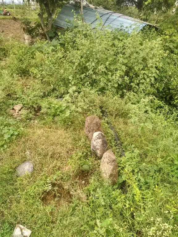 Arulmigu Karagathahalli Gangadevar Temple, Karagatha Halli, Palacode - 636808