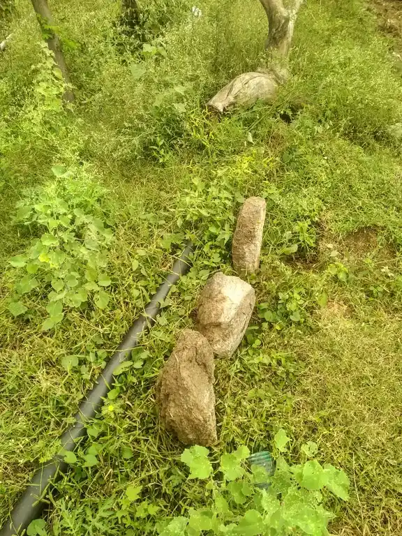 Arulmigu Karagathahalli Gangadevar Temple, Karagatha Halli, Palacode - 636808 அருள்மிகு கரகத அள்ளி கங்காததேவர் திருக்கோயில், Karagatha Halli, Palacode - 636808, Dharmapuri - Ancient Temple Architecture and History Image 4