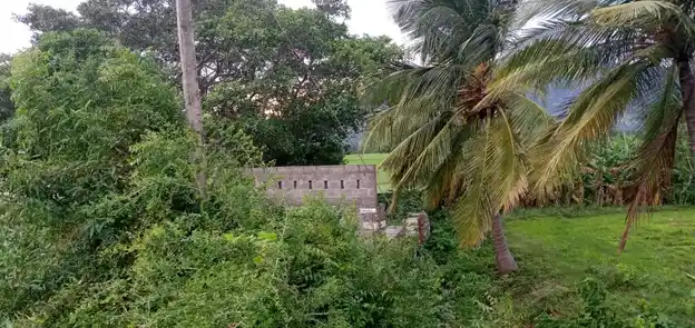 Arulmigu Karaikanda Sastha Temple, Thazhakudi - 629901