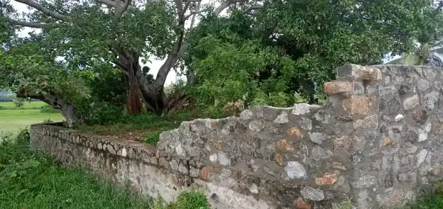 Arulmigu Karaikanda Sastha Temple, Thazhakudi - 629901 அருள்மிகு கரைகண்டன்சாஸ்தா திருக்கோயில், Thazhakudi - 629901, Kanyakumari - Ancient Temple Architecture and History Image 2