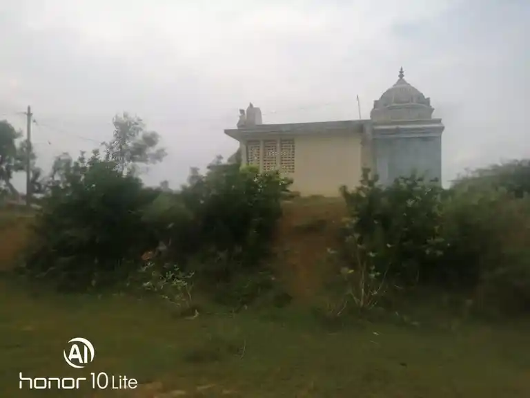 Arulmigu Karaimel Periya Ayyanar Temple, Pudukkottai Viduthi - 622301