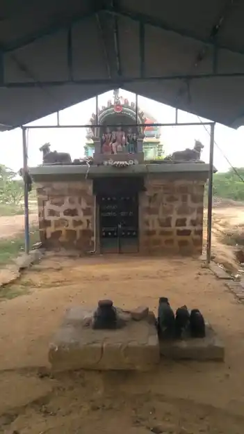 Arulmigu Karaimelalagar Temple, Vikiramangalam - 621701 Arulmigu Karaimelalagar Temple, Vikiramangalam - 621701, Ariyalur - Ancient Temple Architecture and History Image 2