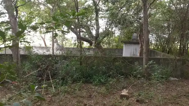 Arulmigu Karaimelazhagar Ayyanar Temple, Prammadesam - 621115 Arulmigu Karaimelazhagar Ayyanar Temple, Prammadesam - 621115, Perambalur - Ancient Temple Architecture and History Image 2