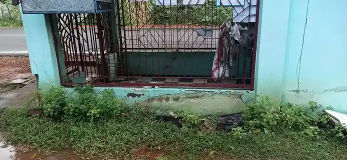 Arulmigu Karaiyetri Vinayagar Temple, Mettupalayam - 614715 கரையேந்தி வினாயகர் திருக்கோயில், Mettupalayam - 614715, Thiruvarur - Ancient Temple Architecture and History Image 7