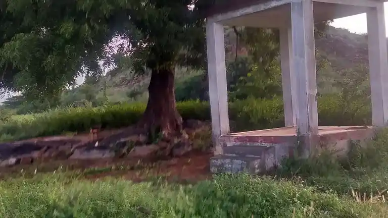 Arulmigu Karakathilai Tellaiamman Temple, Pothampatti - 625532 அருள்மிகு கருகத்திலை எல்லையம்மன் திருக்கோயில், Pothampatti - 625532, Madurai - Ancient Temple Architecture and History Image 3