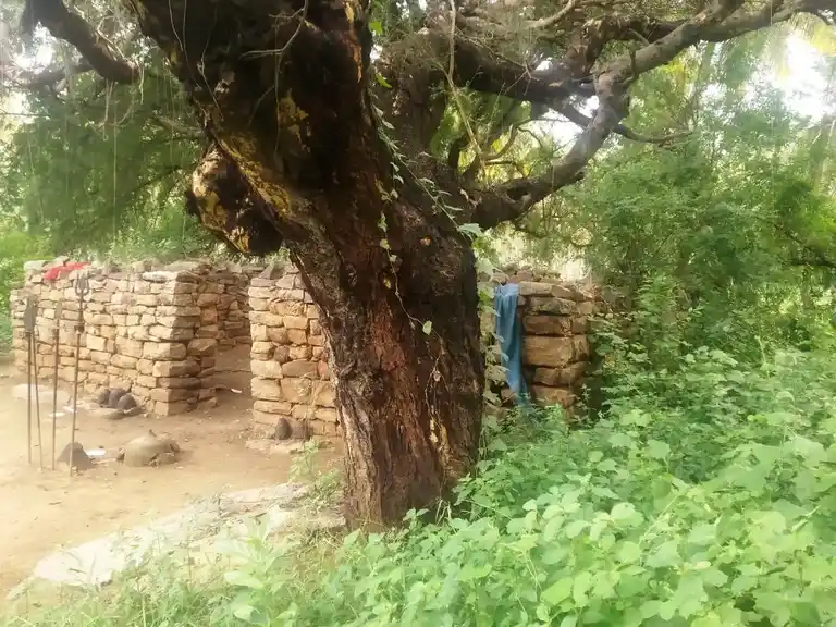 Arulmigu Karalamman Temple, Kankayampalayam - 638673 அருள்மிகு காரளம்மன் திருக்கோயில், Kankayampalayam - 638673, Tiruppur - Ancient Temple Architecture and History Image 2