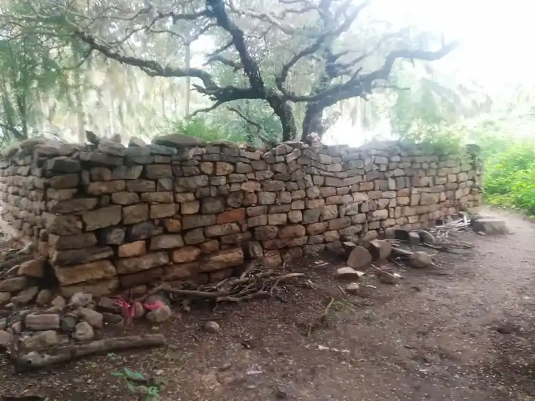 Arulmigu Karalamman Temple, Kankayampalayam - 638673 அருள்மிகு காரளம்மன் திருக்கோயில், Kankayampalayam - 638673, Tiruppur - Ancient Temple Architecture and History Image 4