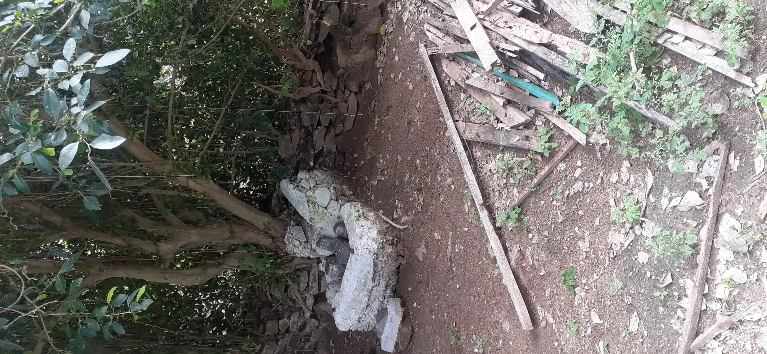 Arulmigu Karappadiamman, Sundarammantemple, Avalappampatti - 642120 அருள்மிகு கரப்பாடியம்மன் சுந்தரம்மன் திருக்கோயில், Avalappampatti, Avalappampatti - 642120, Coimbatore - Ancient Temple Architecture and History Image 4