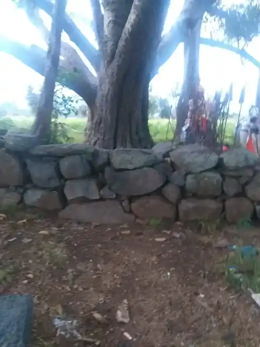 Arulmigu Karappanar Temple, Arasanatham, Attur - 636107 Arulmigu Karappanar Temple, Arasanatham, Attur - 636107, Salem - Ancient Temple Architecture and History Image 2