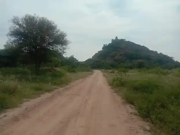 Arulmigu Karattukotai Malaikovil, Karathukottai - 624703 அருள்மிகு கரட்டு கோட்டை மாலைக்கோயில்- கரிக்காலி,வேடசந்தூர்,திண்டுக்கல் கோயில், Karathukottai, Karathukottai - 624703, Dindigul - Ancient Temple Architecture and History Image 2