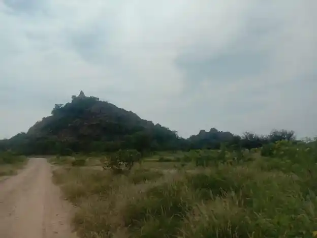 Arulmigu Karattukotai Malaikovil, Karathukottai - 624703 அருள்மிகு கரட்டு கோட்டை மாலைக்கோயில்- கரிக்காலி,வேடசந்தூர்,திண்டுக்கல் கோயில், Karathukottai, Karathukottai - 624703, Dindigul - Ancient Temple Architecture and History Image 3